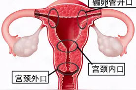 怀孕那些事，你都知道吗，赶快来看看吧图片