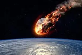 种种迹象，章鱼有可能是外星生物吗图片