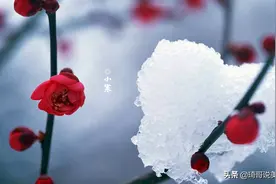 明日小寒，要多吃“一谷一肉三蔬果”，少吃一物，全家健康过寒冬图片