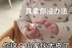 表情包：你这个小家伙太皮了，真拿你没办法图片