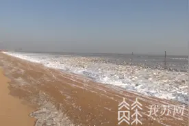 江苏多地出现冰凌景观 专家提醒：切勿走进海滩深处图片