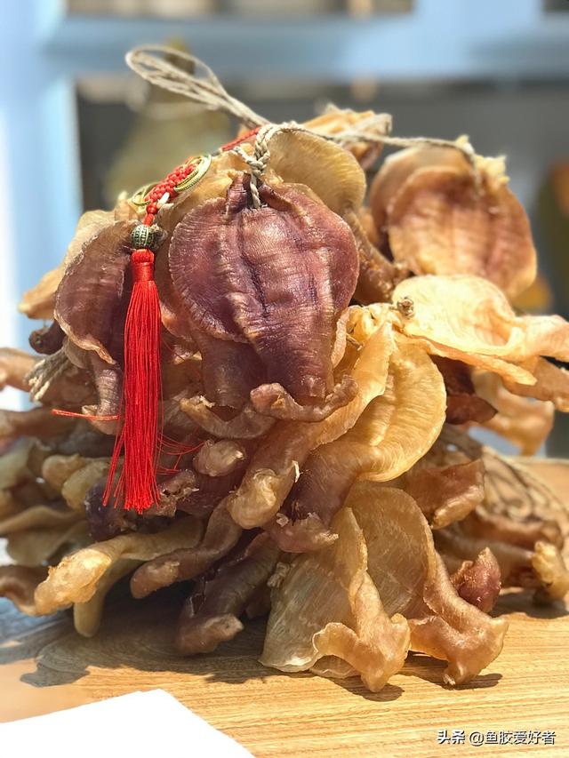 花胶肚 花胶肚是什么东西 花胶肚 花胶肚是什么东西