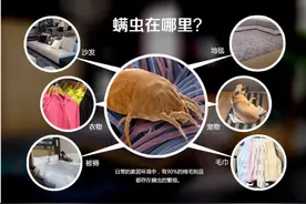 眼睛里的螨虫——你知道吗？图片