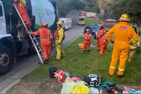 澳街边垃圾桶里有一名21岁男子，还被垃圾车“装车带走”图片