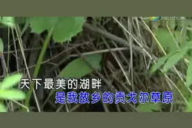 【草原歌曲】呼斯楞《天下最美的草原》图片
