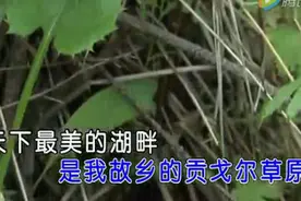 【草原歌曲】呼斯楞《天下最美的草原》图片