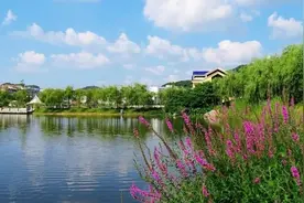 赣皖两省交界处的一个县，青山绿水绕村舍，有种惊喜叫推窗见鹿图片