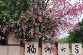福建这所大学很“委屈”，明明是211，却常被家长当作普通大学图片