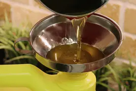 工业种子油有什么危害？它是如何让你生病、长胖的？图片