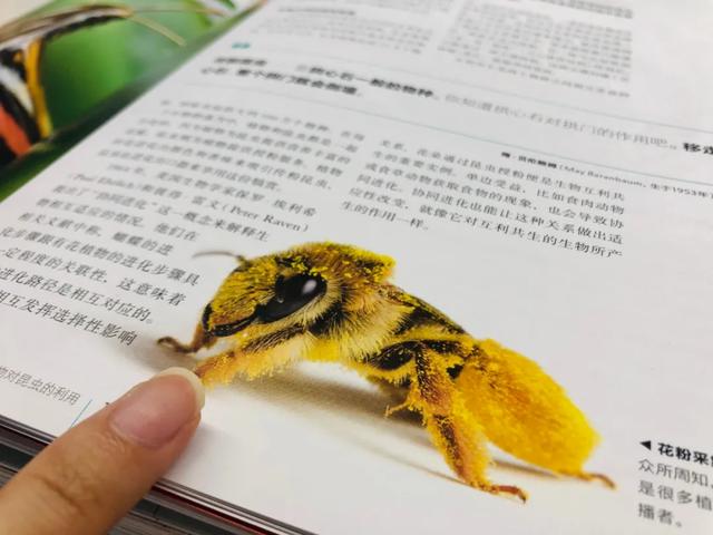 知乎高赞:有哪些书看完后,会感叹没有早点遇到?