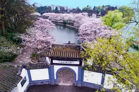 人均收入不俗，却未能进入新一线城市，无锡离新一线城市有多远？图片