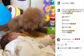 杨怡晒女儿与狗狗睡觉合照，狗狗满眼疼惜陪她身边画面超暖图片