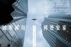 《安家》大团圆结局,你知道房似锦有多赚钱吗？搭上这趟末班车，你也可以图片