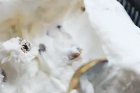 东北的冬天：可以没有貂，不能没雪糕图片