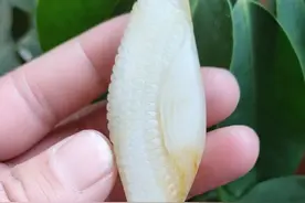 和田玉之玉石价值（一）图片