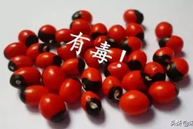 关于植物的3个奇葩冷知识：断肠草真能解杨过中的情花毒？图片