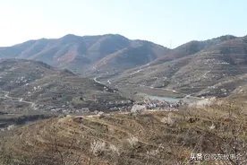 胶东农村：老两口在山顶上有一片果园，管理辛苦但不舍得撂下图片