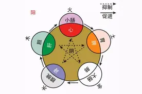 中医基础理论——五脏病机的关系图片