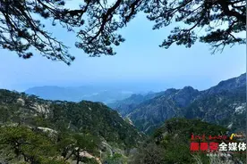 泰山后石坞：岱阴第一洞天 彩墨流韵露岱宗 松涛阵阵闻天籁图片