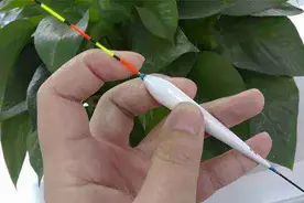 买浮漂不看漂尾的粗细，钱都白花了，鱼也钓不多图片