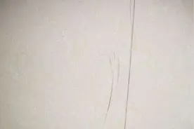 小小一瓶风油精，作用真不少，教你解开隐藏技能图片