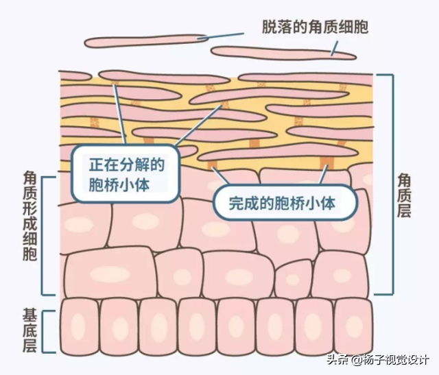 舒肤佳香皂可以洗脸吗？脸上长痘用什么洁面皂洗脸比较好？