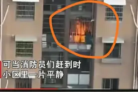 杭州：30名消防员出动，没想到却是乌龙火警，都是玻璃反光惹的祸图片