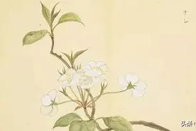 时过境迁，为什么我们还要读《诗经》?并且一读再读图片