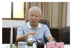 王勇落马，正接受中纪委审查图片