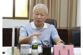 王勇落马，正接受中纪委审查图片
