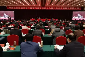 【工作动态】区委常委、组织部部长张若冰带队到青龙桥街道对2020年全面从严治党（党建）工作进行督察图片