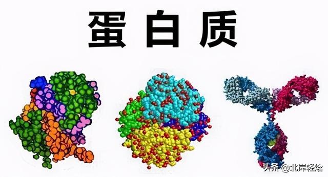 核糖体：揭开生物体内合成蛋白质的奥秘 2009年诺贝尔化学奖介绍