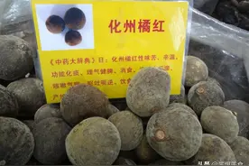 广东三宝中的橘红+陈皮+荔枝，美誉赞遍天下图片
