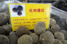 广东三宝中的橘红+陈皮+荔枝，美誉赞遍天下图片