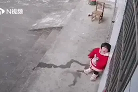 “爸爸、爸爸......”回来了！图片
