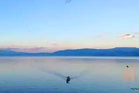 2021年中考语文青岛二模试题（模拟卷）图片