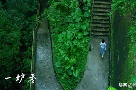 这哪是第一炉香，分明是一炉白开水：这么多没有拍出来图片