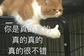 来聊一聊那些麻醉还没清醒时的迷惑行为图片