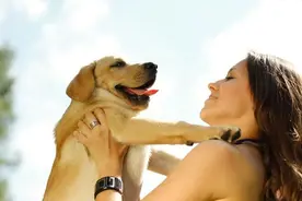 狗狗有这几个特征，说明在你家过得很“幸福”图片