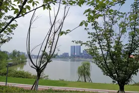 房价站上3万的成都兴隆湖，真的就这么值钱吗？图片