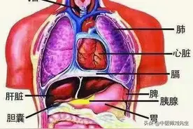 临床常用经方，供学习参考图片