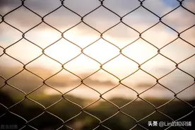 12个冷知识：虽然都是真实存在的，但你却很少能接触到图片