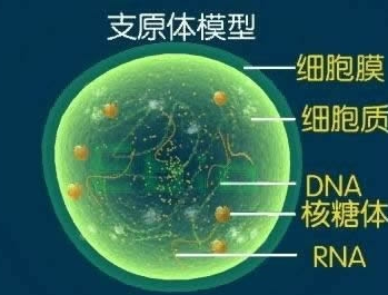 高中生物学习经验分享