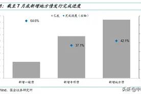 国金证券：地方债发行节奏安排或意在托底经济图片