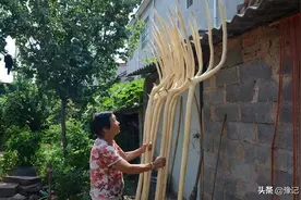 曾经麦收必用的农具桑杈，养活了一个村子的人图片