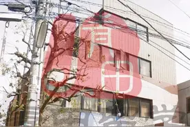 「客观评测」带你去看语言学校——东京太阳树外语学院图片