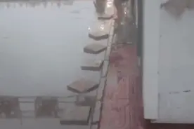 雨后，7岁小学生独自“搬砖”被偷拍了下来图片