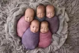 吉尼斯纪录（1）一胎最多生几个图片