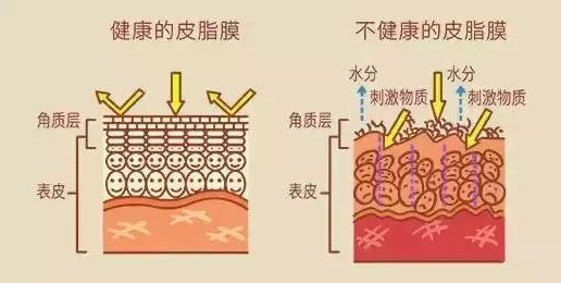 长点心吧！你的洗面奶可能正在毁掉你的脸！氨基酸你不知道的事