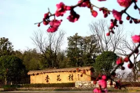 李牧诗中神秘的“杏花村”究竟在什么地方？图片